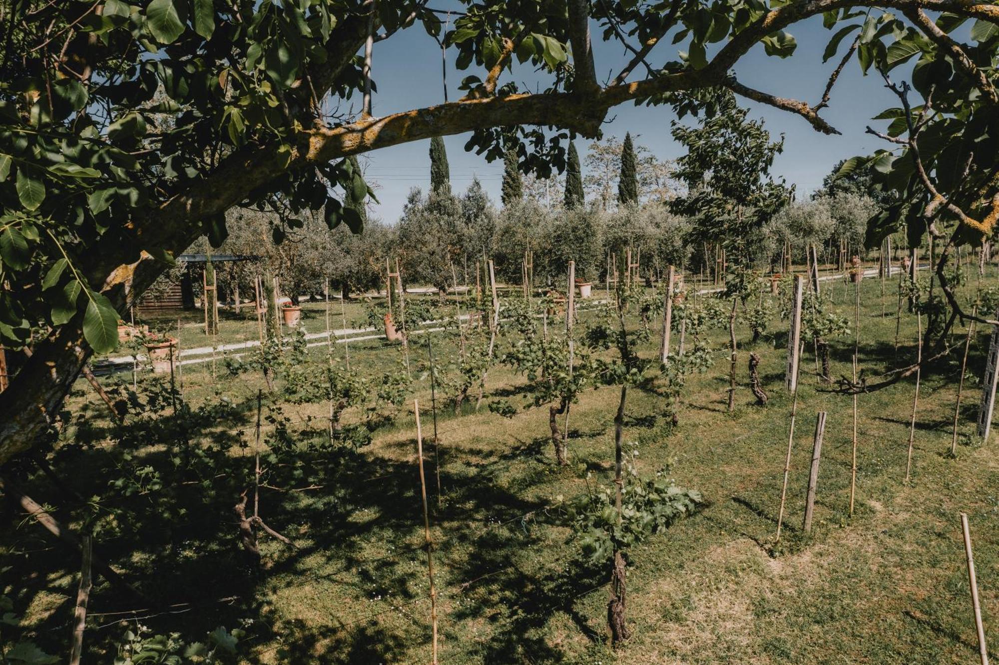 Podere Biagio Valiano Екстер'єр фото